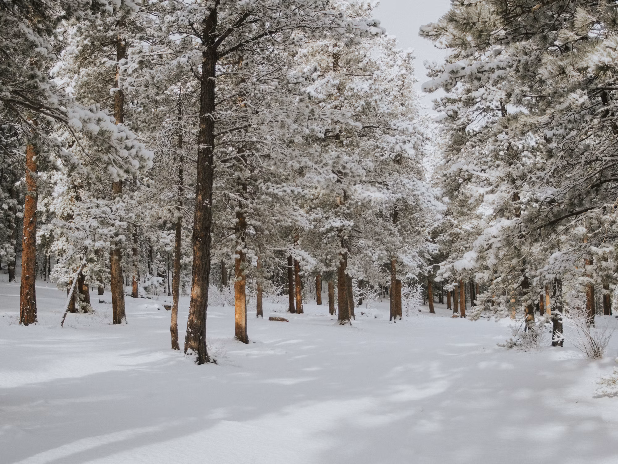 Camping Adventures: Embracing Nature’s Beauty